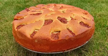 Gâteau moelleux aux figues fraîches et au miel : un dessert fruité et parfumé pour la fin d'été