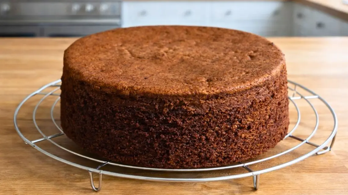 Génoise au chocolat moelleuse la base parfaite pour vos gâteaux maison